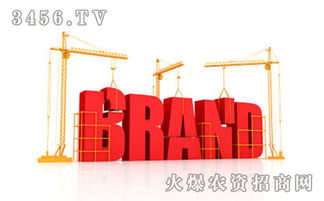 品牌建設(shè)與管理 在競(jìng)爭(zhēng)大環(huán)境下構(gòu)筑企業(yè)核心優(yōu)勢(shì)